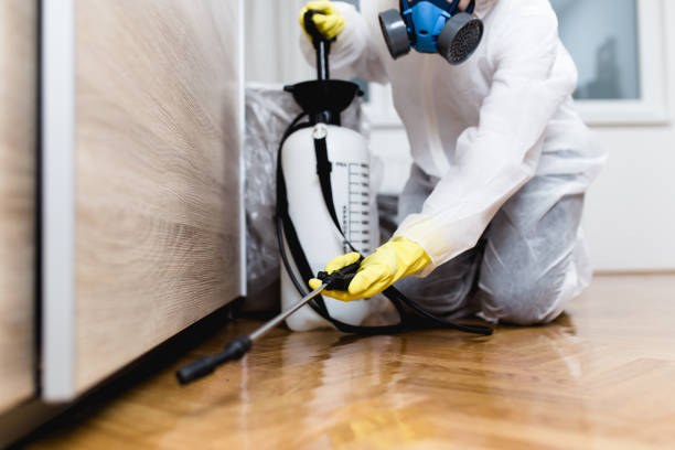 Best Rat Extermination Near Me  in Central Point, OR
