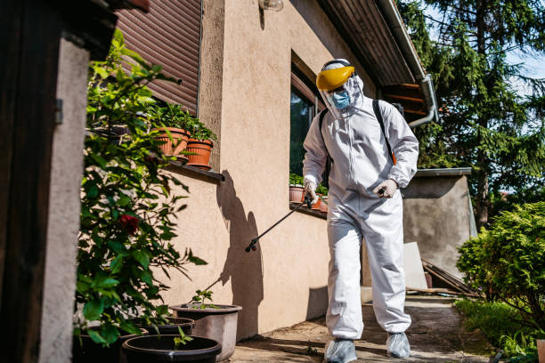 Best Wasp Removal Services  in Central Point, OR