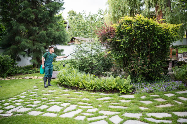 Best Pest Inspection Near Me  in Central Point, OR
