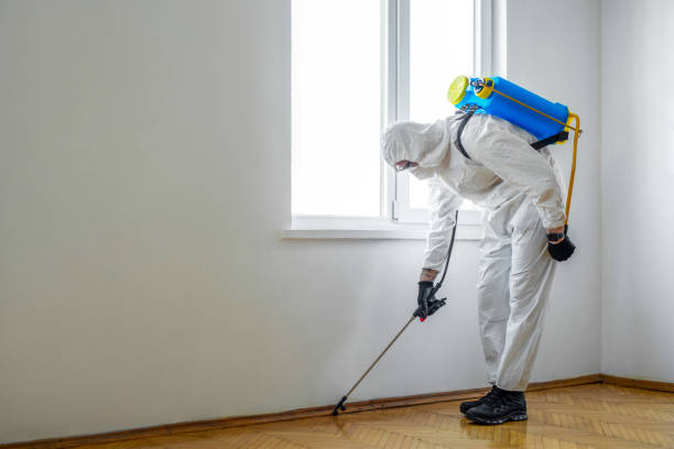 Professional Pest Control in Central Point, OR