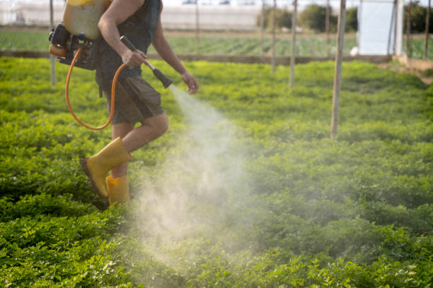 Best Affordable Pest Control Services  in Central Point, OR