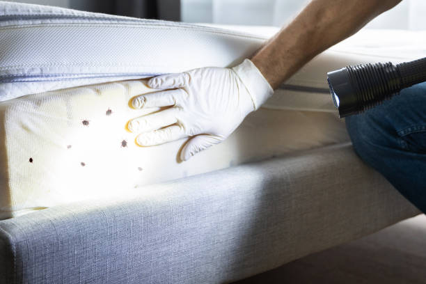 Pest Prevention Services in Central Point, OR