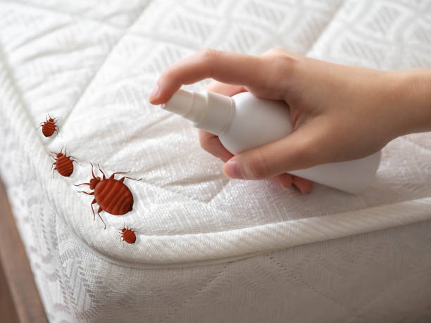 Best Ant Control Services  in Central Point, OR