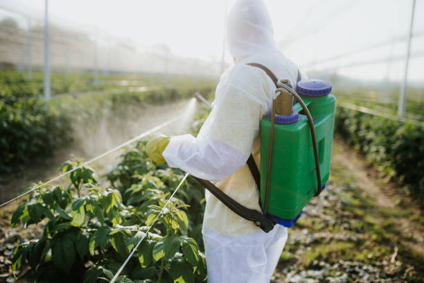 Best Cockroach Control Services  in Central Point, OR